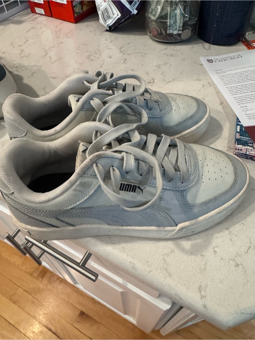 Puma Men's Light Grey Suede & Leather Low-Top Sneakers
